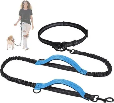 Produktbild von Medium Hundelaufleine elastisch reflektierend
