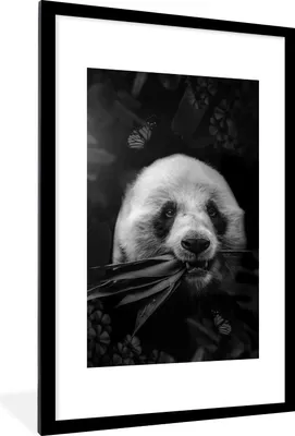 Produktbild von MuchoWow® Gerahmtes Poster Panda frisst Blätter im Dschungel - schwarz und weiß 60x90 cm - Poster mit Schwarzem Bilderrahmen Wandposter Rahmen Foto Bilder - Dekoration - Wandposter Wohnzimmer - Hochwertig