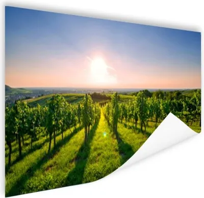 Produktbild von MuchoWow® Poster Grüne Weinberge bei Sonnenaufgang 120x80 cm - Bilder
