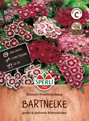 Produktbild von SPERLI Bartnelkensamen Einfache Prachtmischung 100 Pflanzen