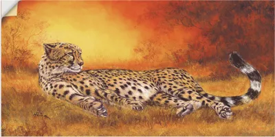 Produktbild von ARTland Wandbild, selbstklebend Gepard Größe: 40x20 cm