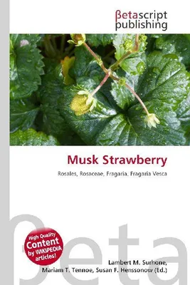 Produktbild von Musk Strawberry