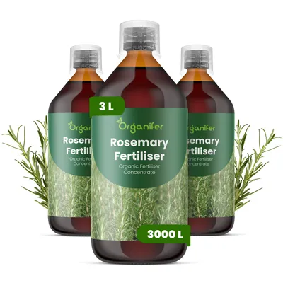 Obrázek produktu pro Rozmarín Tekuté Hnojivo 3x1 L – 2-1-8 NPK – Pro Rozmarín – Podporuje Intenzivní Vůňu & Rovnomerný Růst – Organifer