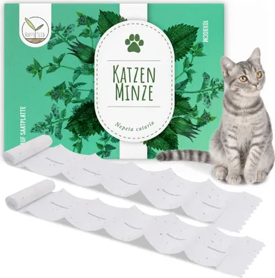 Produktbild von Katzenminze Samen Saatband 80 x 10 cm (Nepeta cataria) - Catnip Saatgut ideal für die Anzucht im Garten, Balkon oder Terrasse
