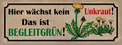 Produktbild von vianmo Holzschild 10x27 cm hier wächst kein Unkraut das ist Spruch Zitat