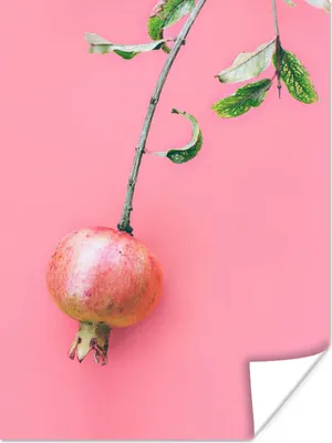 Produktbild von MuchoWow® Poster Pflanzen - Sommer - Rosa 120x160 cm - Wandbilder