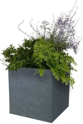 Produktbild von Blumentopf EDA Squared Dunkelgrau (39 x 39 x 43 cm)