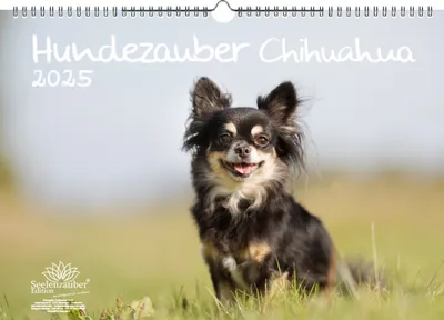 Produktbild von Hundezauber Chihuahua DIN A3 Kalender für 2025 Welpen und Hunde - Seelenzauber