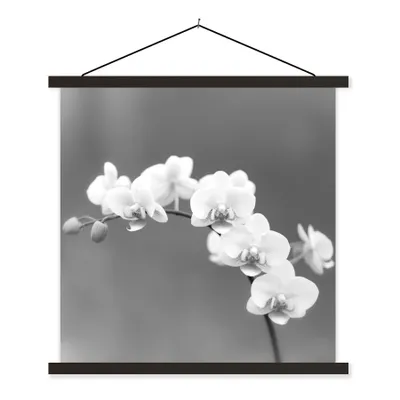 Produktbild von MuchoWow® Textilposter Orchidee - Blumen - Pflanze - Weiß - Lila 60x60 cm mit schwarzem Rahmen - Posteraufhänger