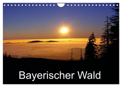 Produktbild von Bayerischer Wald (Wandkalender 2027 DIN A4 quer), CALVENDO Monatskalender