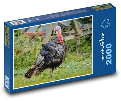 Zdjęcie produktu dla Puzzle 2000 Indyk na wsi - martinpuzzle