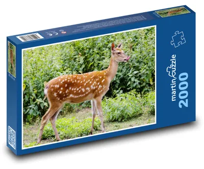 Obrázek produktu pro martinpuzzle - Puzzle 2000 - Jelen - zvíře