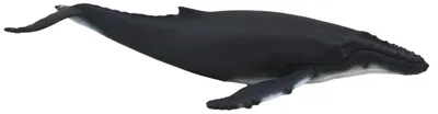 Zdjęcie produktu dla Mojo Fun Humpback Whale, 3 lat(a), SEALIFE, Szary, Biały, Polichlorek winylu (PVC)