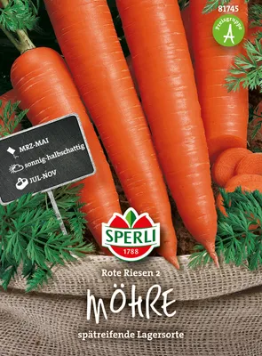 Produktbild von Möhre Rote Riesen 2 | Möhrensamen von Sperli