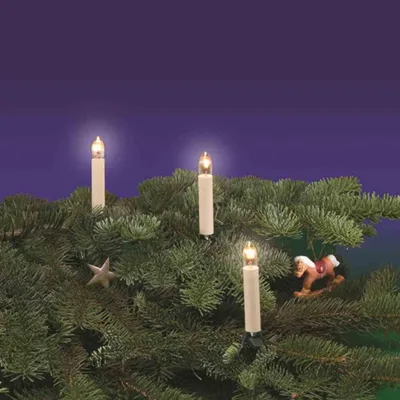 Christmas tree lights shaped like candles on a fir tree branch.
