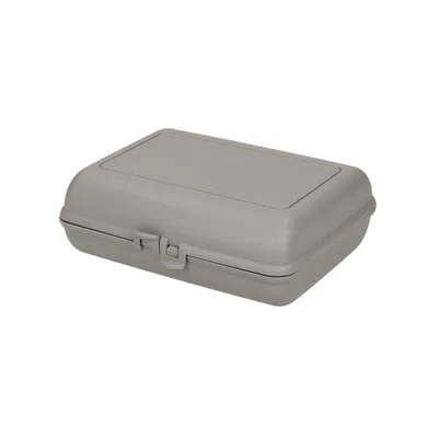 Zdjęcie produktu dla Ekologiczne pudełko do przechowywania "Switch" - Zrównoważone pudełko na lunch z zamknięciem na zatrzask, idealne pudełko na lunch dla dzieci w naturalnych kolorach, wolne od BPA i wyprodukowane w Niemczech - orzech laskowy