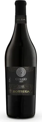 Produktbild von Bottega Collio Pinot Grigio 2021 Weißwein Italien DOC Collio 75.00 cl 13 %