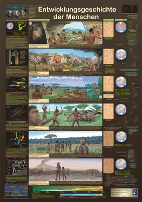 Obrázek produktu pro Historie vývoje člověka Plakát, němčina DIN A1 59,4 x 84,1 cm