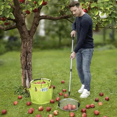 Productafbeelding van Maximex tuingereedschap, model: rollende bladverzamelaar met telescopische steel, fruitverzamelaar met roestvrijstalen spaken, geschikt voor de tuin, in de kleuren zwart, zilver en grijs, materiaal: metaal, afmetingen: 34 x 83-148 x 18.5 cm