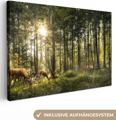 Produktbild von MuchoWow® - Leinwandbilder - Hirsche - Natur - Wald, Wandbild, Wanddeko Bilder Wohnzimmer, 90x60cm