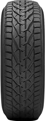 Produktbild von Taurus Taurus Winter 205/55R16 91T