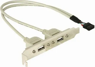Immagine prodotto di DELOCK Slotblech 2x USB A