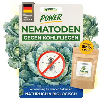 Produktbild von Green Guardia Nematoden gegen Kohlfliegen – 5 Mio. - Effektiv Kohlfliegen bekämpfen, Mittel gegen Kohlfliegen, Kohlfliegen Larven bekämpfen