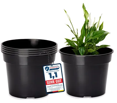 Produktbild von Blumentopf - Anzuchttopf - 5 Stück - Schwarz - Durchmesser 19 cm - Höhe 15 cm