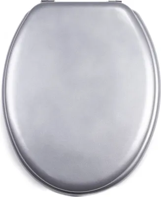 A top-down view of a silver toilet seat on a white background.