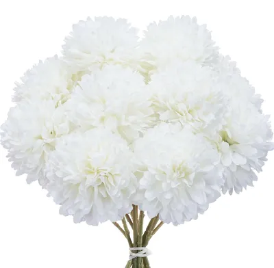 Imagen del producto de Solidchoice - Juego de 12 flores de hortensia de seda realistas (blancas)