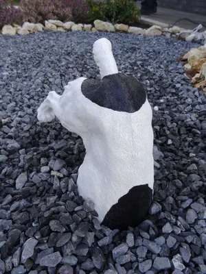 Produktbild von Dekofigur Hund Halber Hund grabend, Jack Russel Terrier Garten Hundefigur