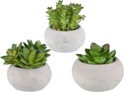 Produktbild von artplants.de Deko Sukkulenten Gesteck ZIFER im Zementtopf, 3 Stück, grün, 8-10cm - Künstliches Gesteck