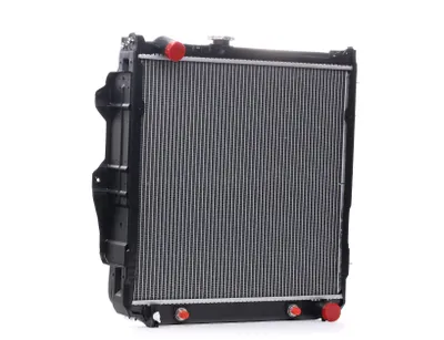 Image de Radiateur de moteur NISSENS 646862