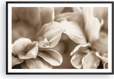Produktbild von Gerahmtes Poster - Schwarzer Rahmen - Blumen Boho ohne - 91,5x61 cm - Wand Bild - Wanddeko - Wandbilder - Kunstposter - Wandposter - Bilderrahmen - Bilder - Kunstdruck Wanddekoration - P2BAA91x61-4767