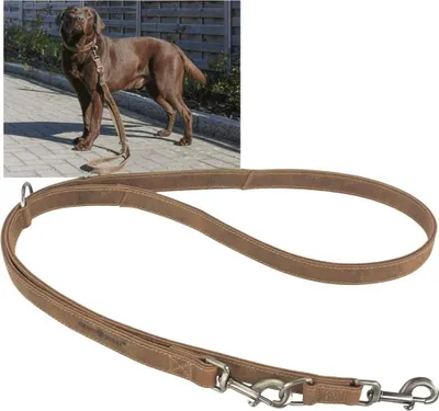 Produktbild von Greenburry Leder Führleine 190cm verstellbar Hundeleine Vintage antik braun