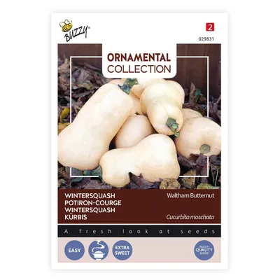 Immagine prodotto di Buzzy Semi di zucca ornamentale Waltham Butternut - Circa 1,5 gr | Buzzy_029831