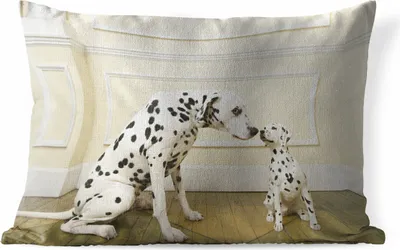 Produktbild von MuchoWow® Outdoor Kissen - Hund - Welpe - Haus - 50x30 cm - Wetterfest - Lounge Kissen - Sofa kissen - Wohnzimmer Dekoration