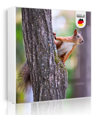 Zdjęcie produktu dla banjado metalowa szafka na klucze, duża 30x30 cm z 32 haczykami, może służyć jako tablica magnetyczna, biały korpus, zawias po prawej stronie, Eichhörnchen [SKGW1 10326]