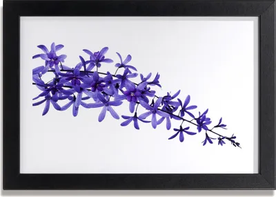 Produktbild von Bild 30x20 MDF-Rahmen Wandkunst Blumen Pflanzen Natur