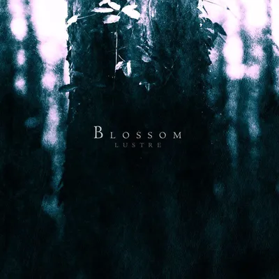 Produktbild von Lustre-Blossom (Digipak)