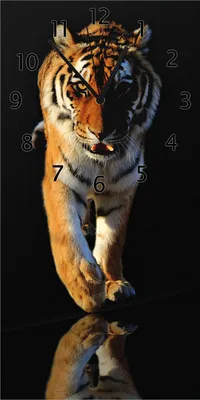 Produktbild von Wallario Design Wanduhr bedruckt, Größe 30 x 60 cm, Motiv: Laufender Tiger