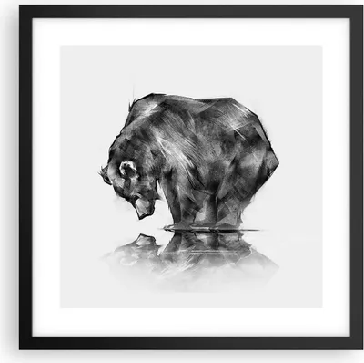 Produktbild von Gerahmtes Poster - Schwarzer Rahmen - Bär Tier - 40x40 cm - Wand Bild - Wanddeko - Wandbilder - Kunstposter - Wandposter - Bilderrahmen - Bilder - Kunstdruck - Wandbild - P2BAC40x40-3921
