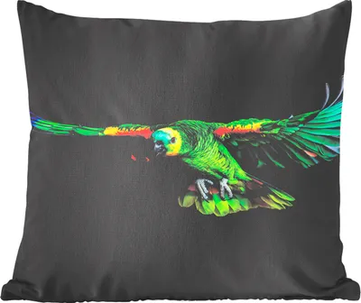 Produktbild von MuchoWow® Zierkissen Sofakissen Wohnzimmer Dekokissen 50x50 cm Papagei - Vogel - Federn - Komfort - Sofakissen