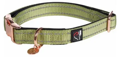 Productafbeelding van Nylon hondenhalsband in pistaziekleur, S/M