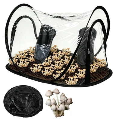 Productafbeelding van Paddenstoelkweektent 60 x 60 x 90 cm, Inklapbare Kweektent
