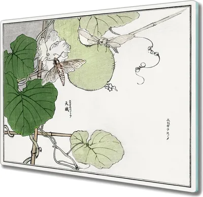 Produktbild von Coloray Hackbrett Kochplattenabdeckung Herdabdeckplatte 60x52 cm Schneidebrett Küchenbrett - Zweig Blätter Blumen