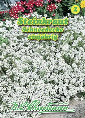 Artikelbild 1 von 'Steinkraut Schneedecke' aus der Kategorie Steinkrautsamen