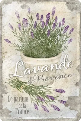 Produktbild von Nostalgic-Art - Blechschild 20 x 30cm - Home & Country - Lavande de Provence