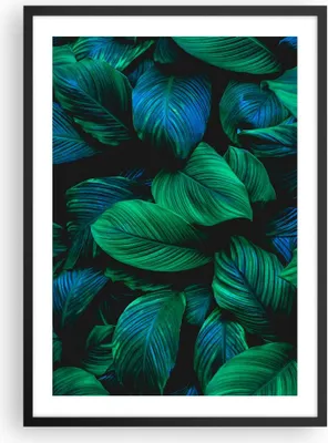 Produktbild von Gerahmtes Poster - Schwarzer Rahmen - Blätter Pflanzen Exotik - 50x70 cm - Wand Bild - Wanddeko - Wandbilder - Kunstposter - Wandposter - Bilderrahmen - Bilder - Kunstdruck - P2BPA50x70-5066