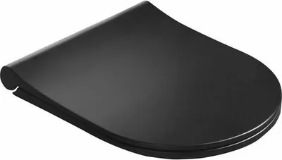 Produktbild von Avva Schwarz Matt Wc Sitz Soft Close